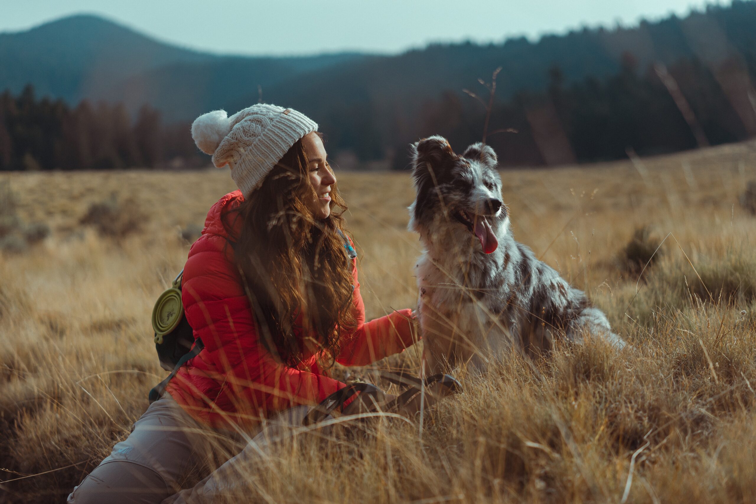 Travel with Pets: The Essential Tips You Need