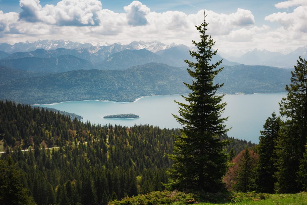 ein Bild von einem See in den Alpen umgeben von Wäldern und Tannen 