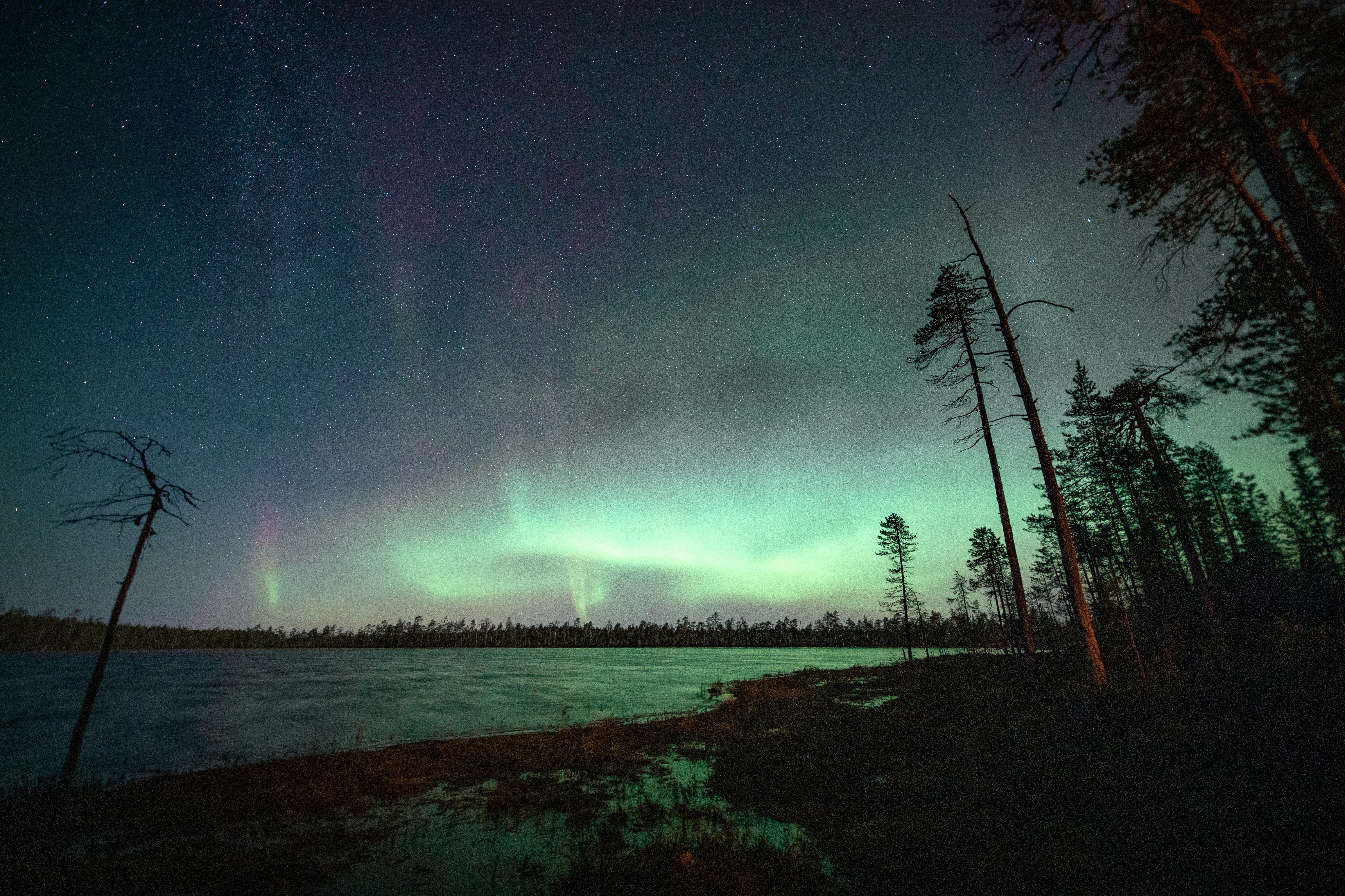 The Northern Lights in Lapland, Finland.
