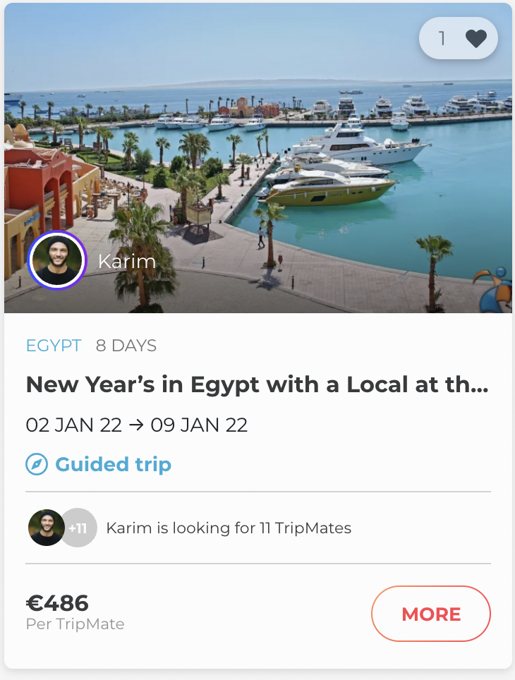Join TripLeader Karim in Egypt the New Year!