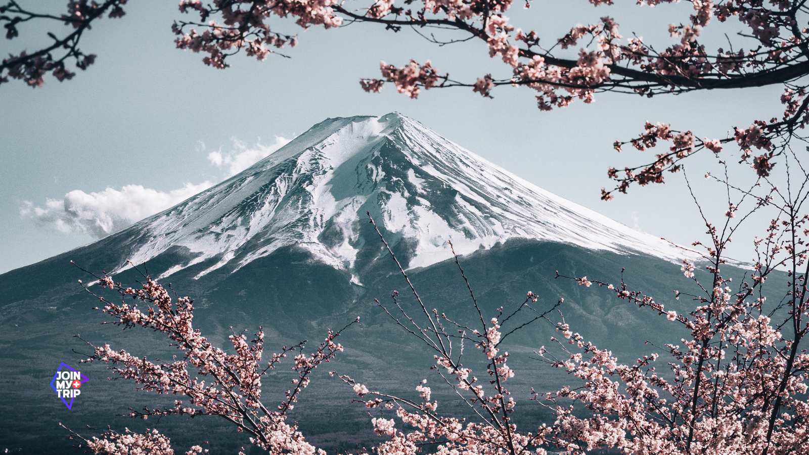 Mount Fuji, Japan [Twitter]