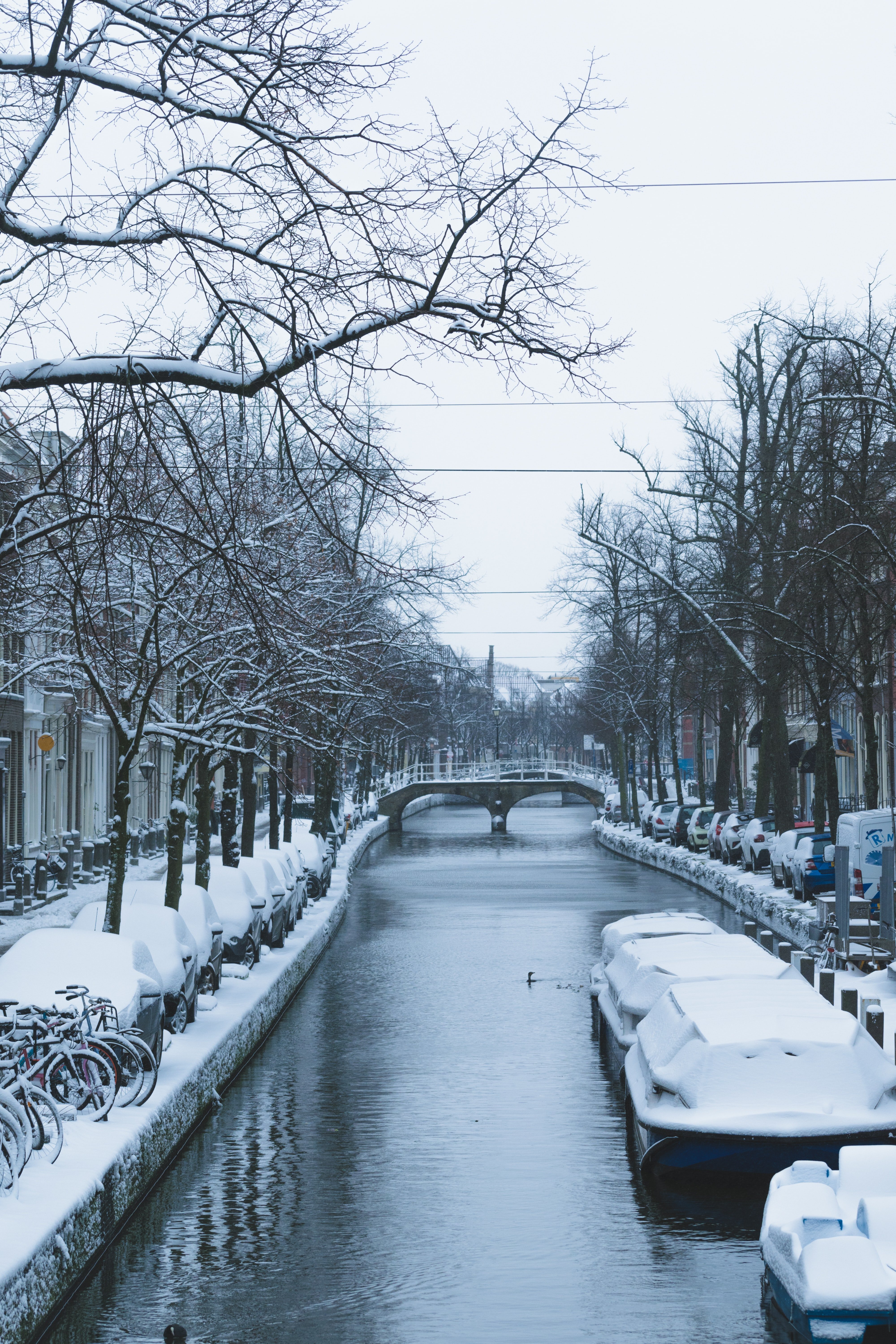 Snowy canal in the Netherlands