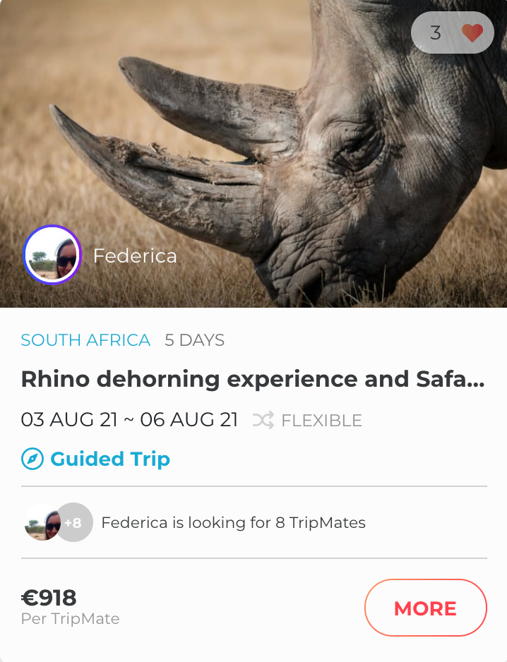 South Africa trip exploring the safari.