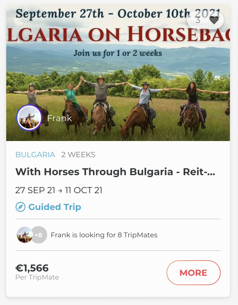 Horseback group trip 