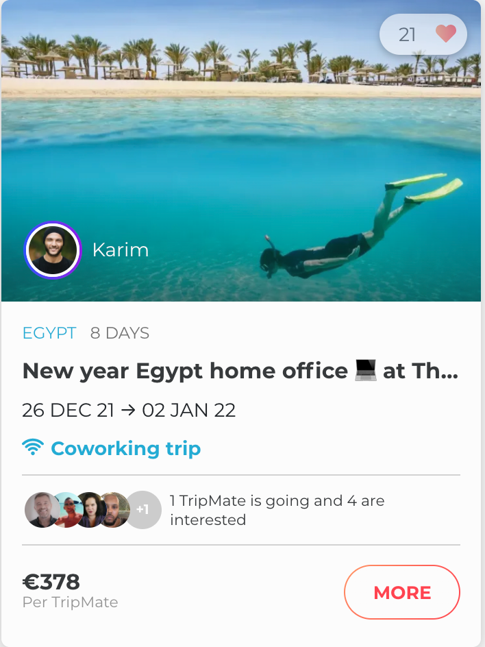 new year trip in egypt
