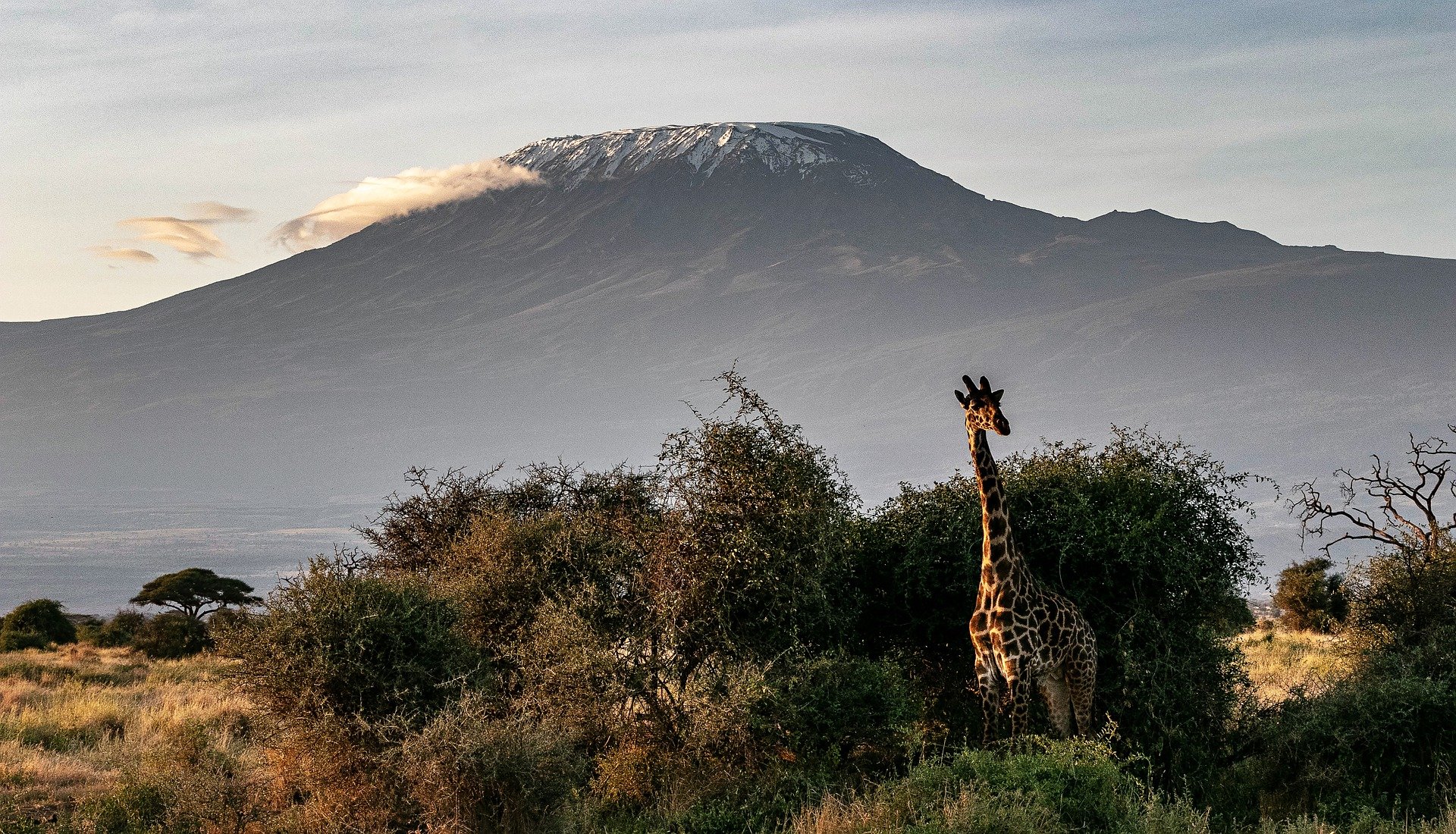 The Safest Places to travel to in Africa