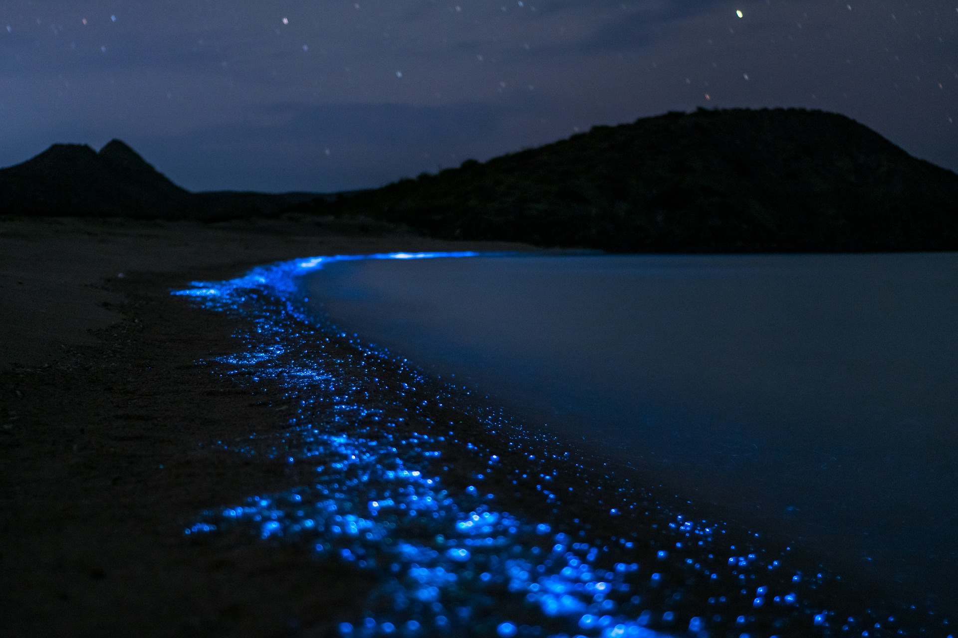 Die 6 besten Orte um Biolumineszenz zu erleben