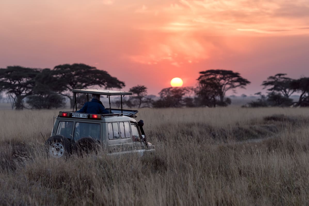 Low Budget Safari in Tansania