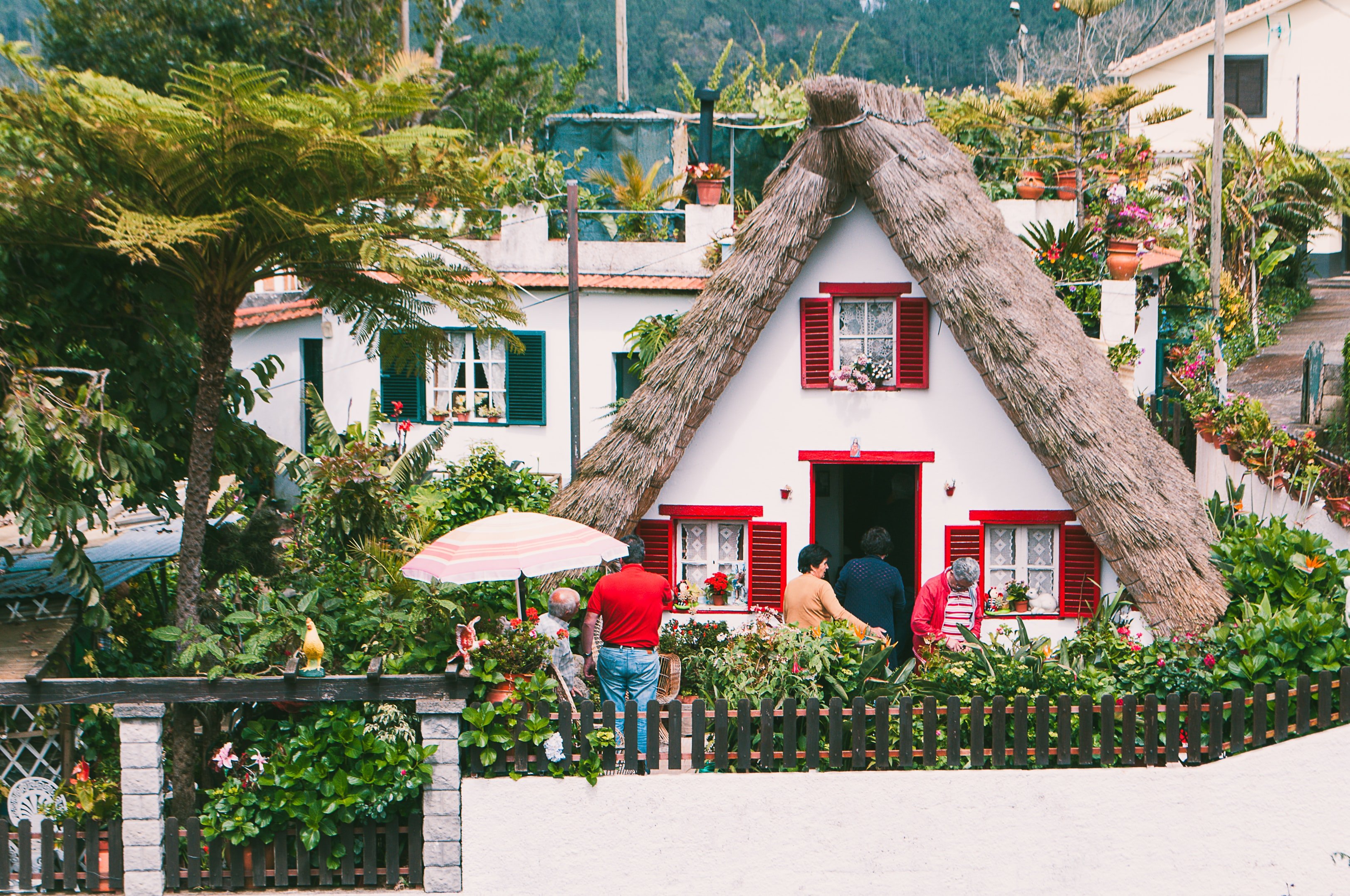 An extraordinary house with red windows and thatched roof surrounded by flowers.