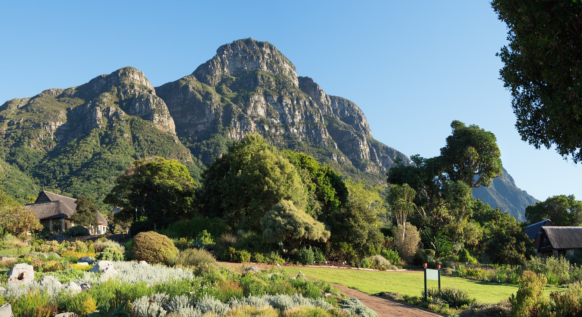 Kirstenbosch national botanical gardens in Cape Town.