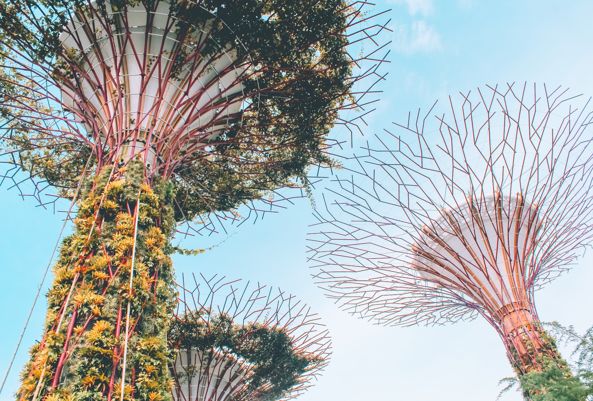 The futuristic Gardens by the Bay is one of the best places to see in Southeast Asia
