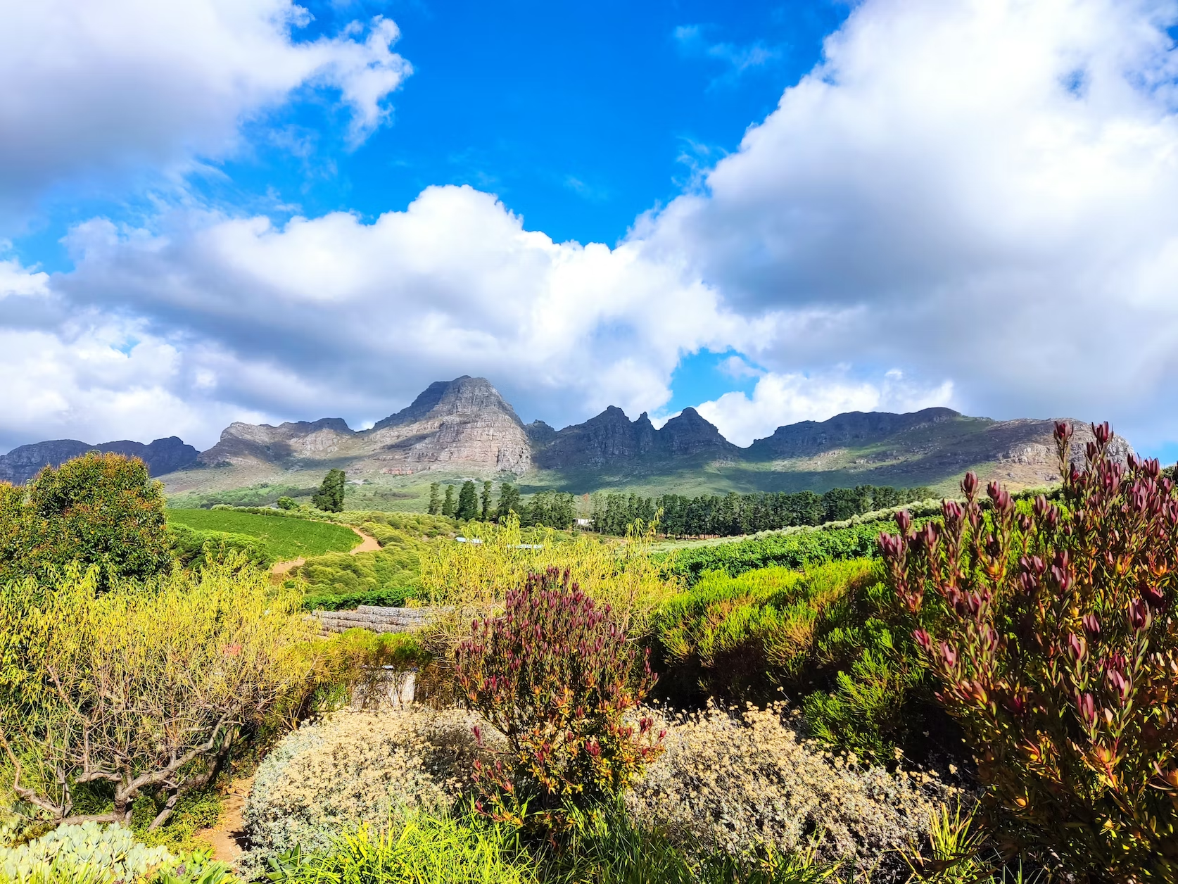 cape winelands fall travel destinations