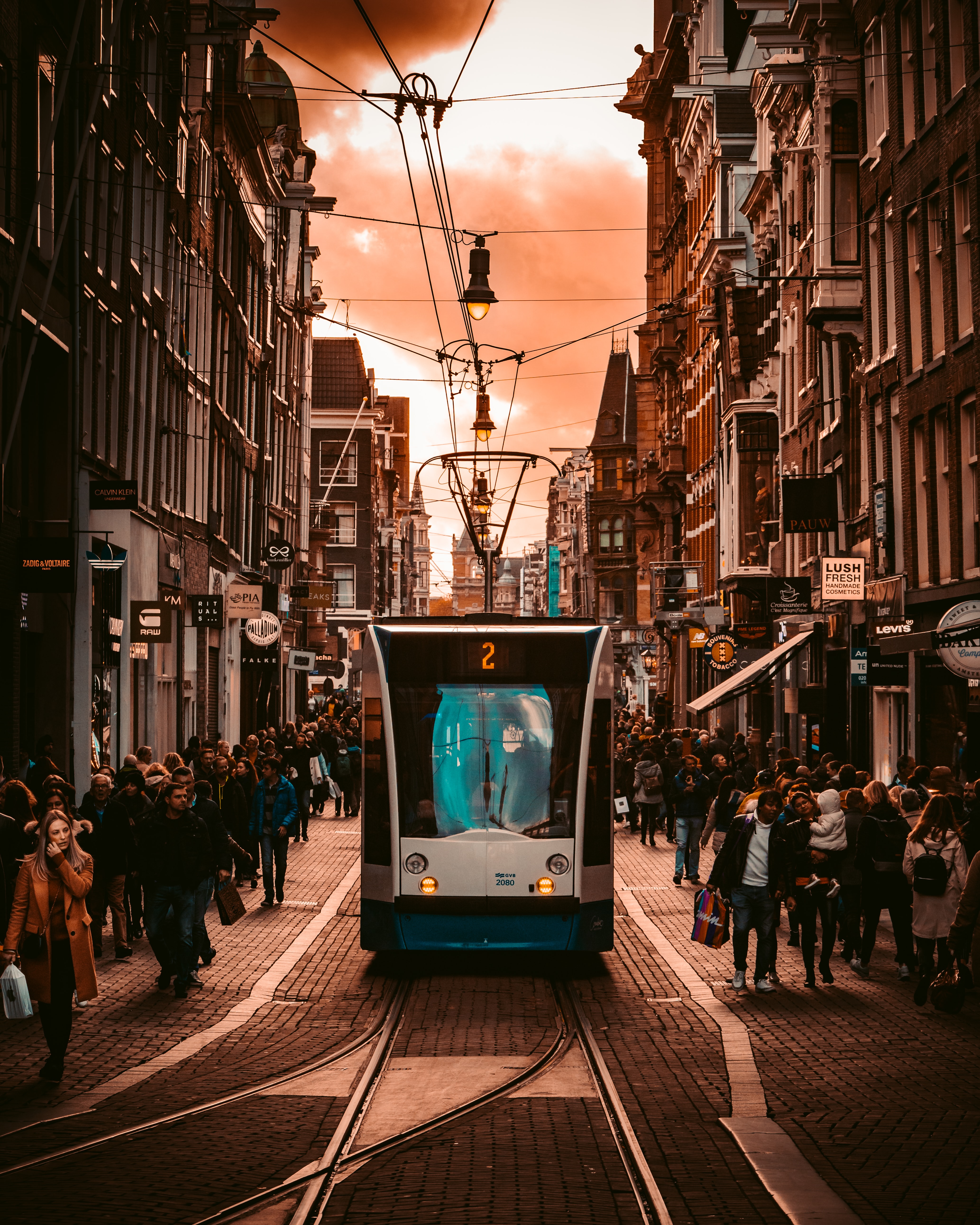 Travel Netherlands through its well-connection public transport system