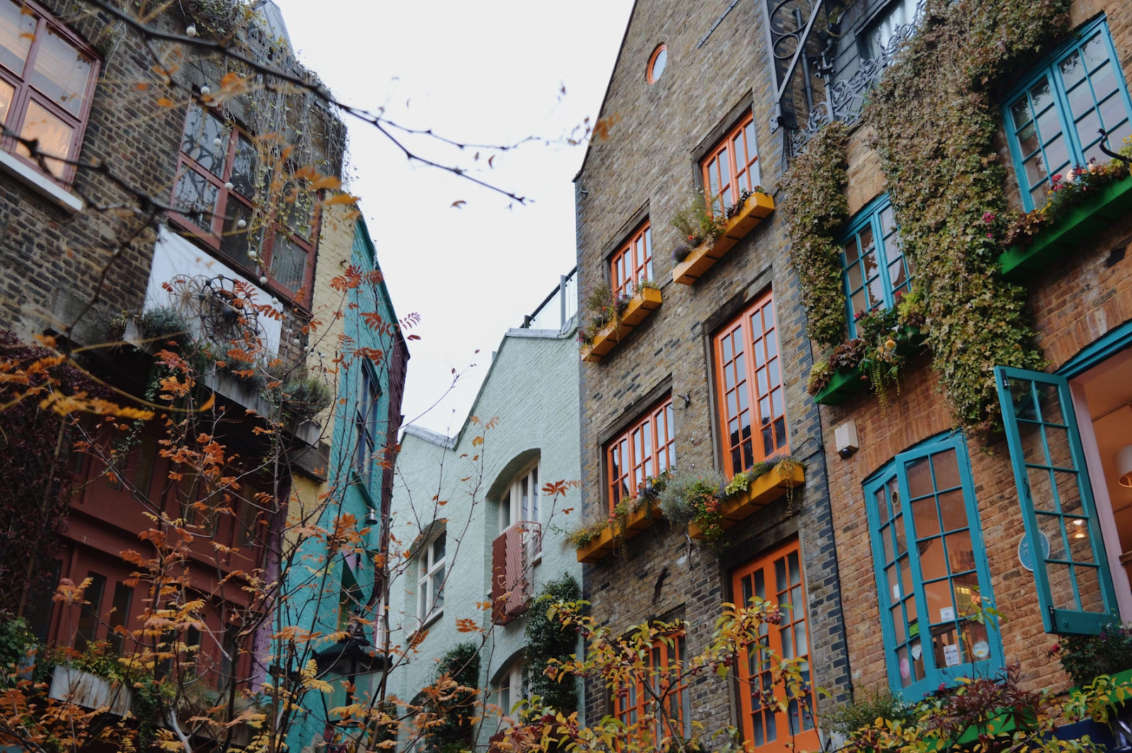 Neal’s Yard