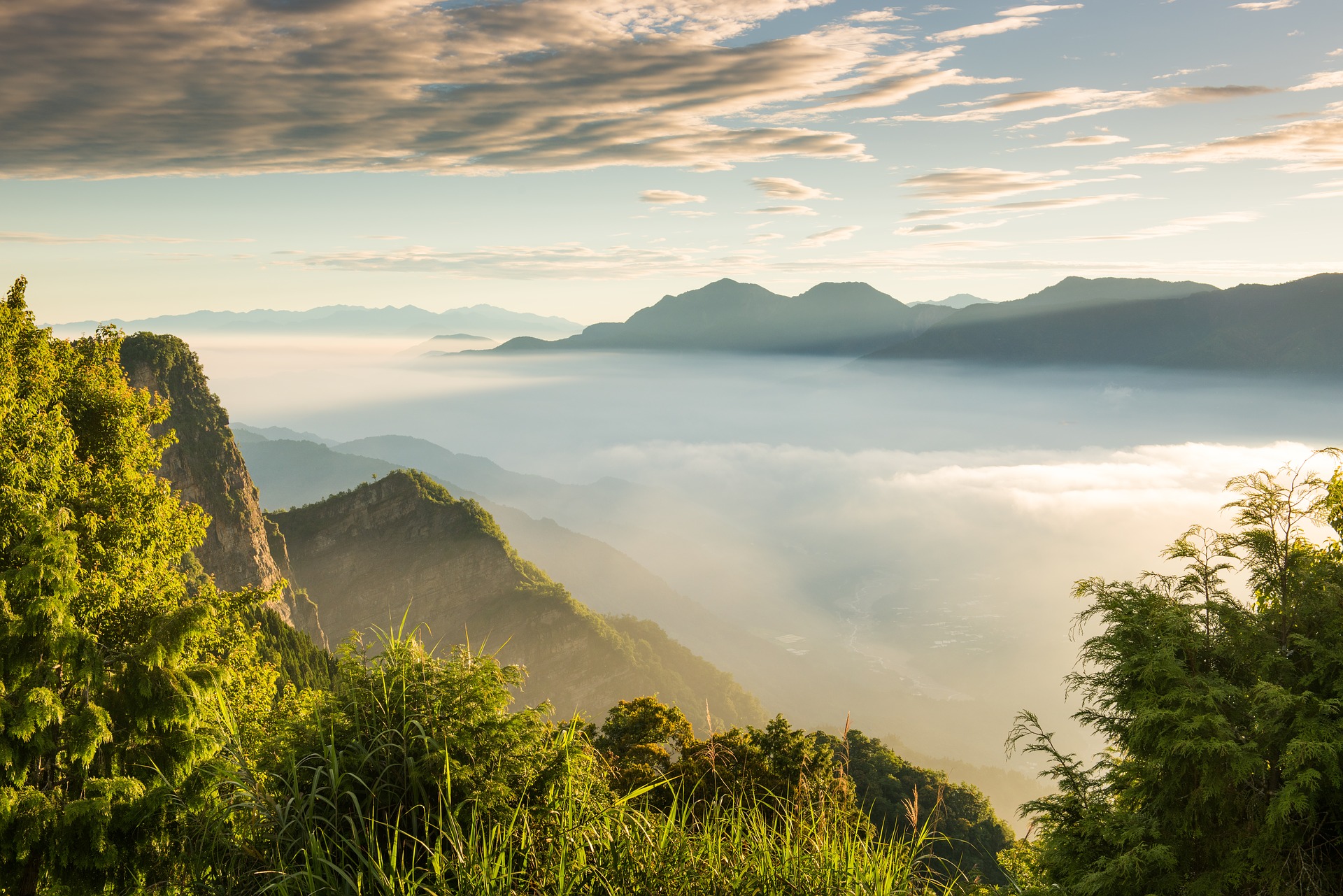 The magical Alishan is perfect for your Taiwan budget travel
