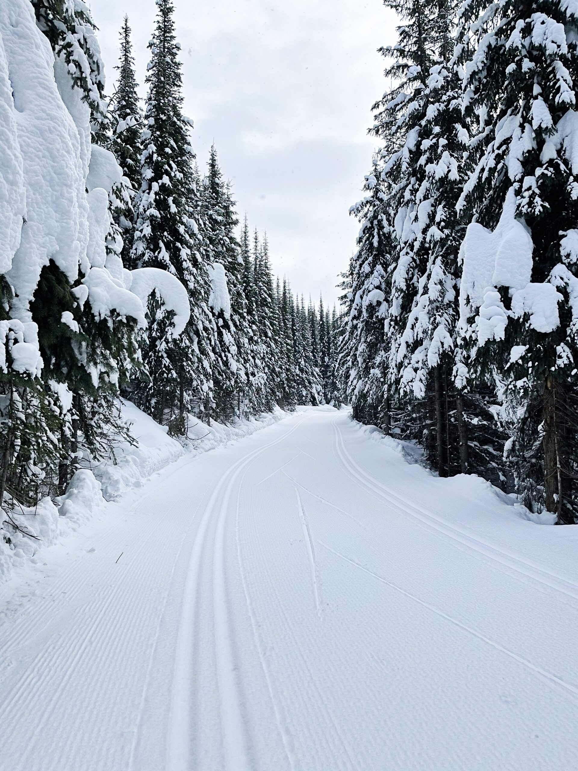 This Canada Travel Guide will take you to some crazy beautiful spots around the country.