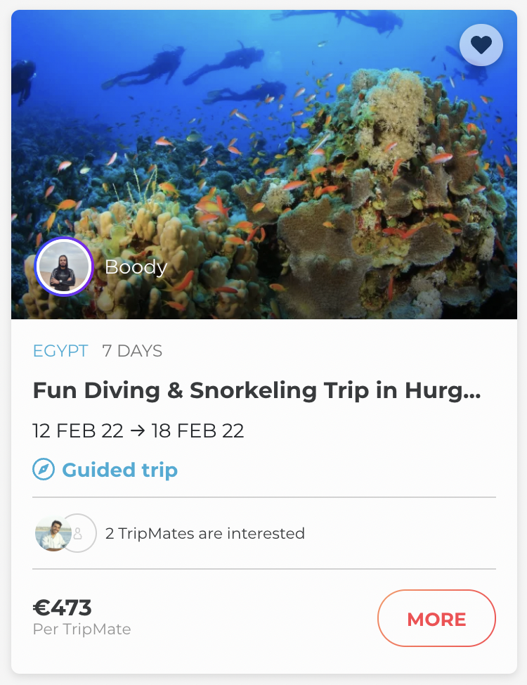 Join Bodee in Egypt for a snorkeling adventure.