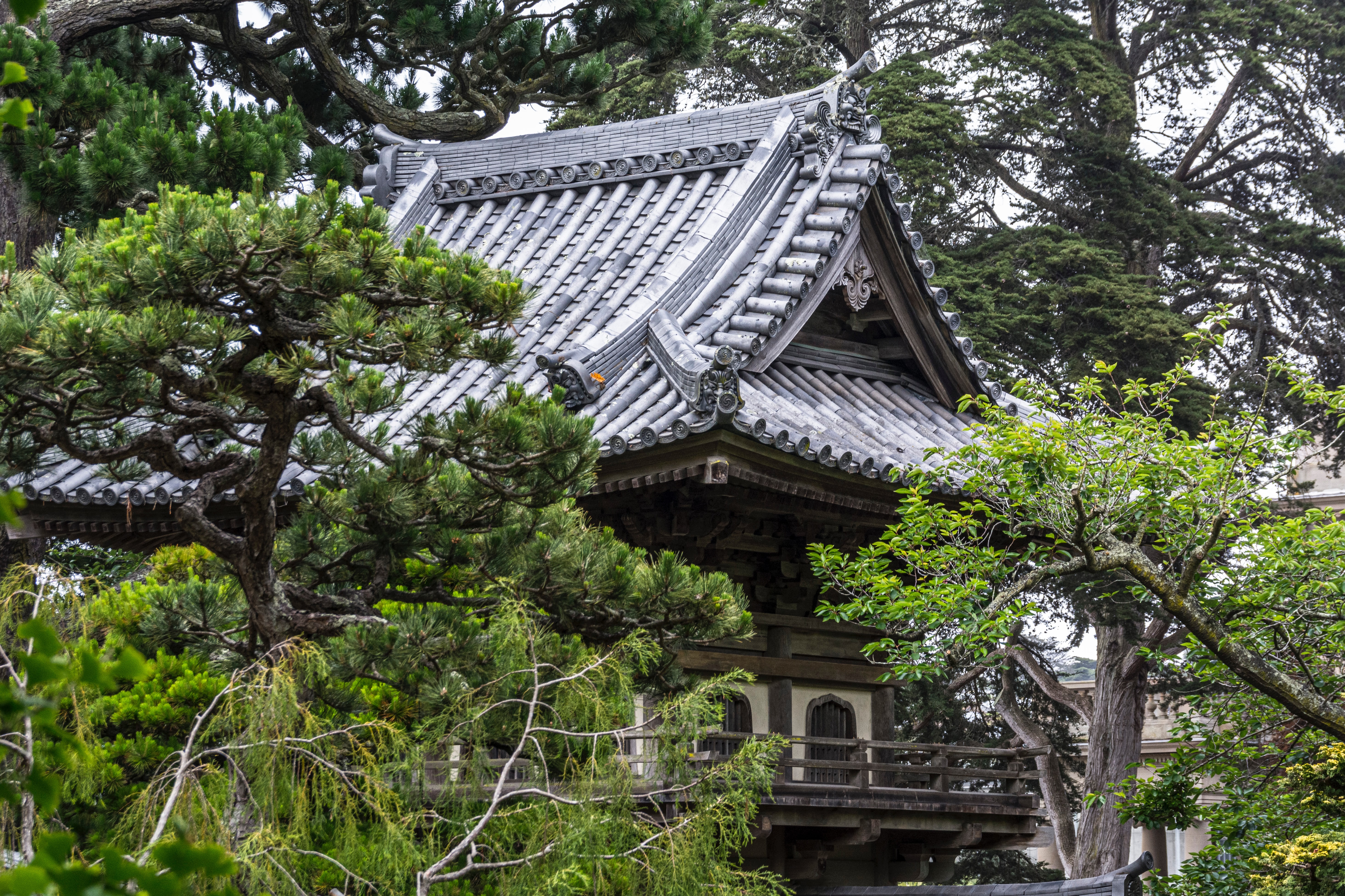 Japanese building amongst trees
