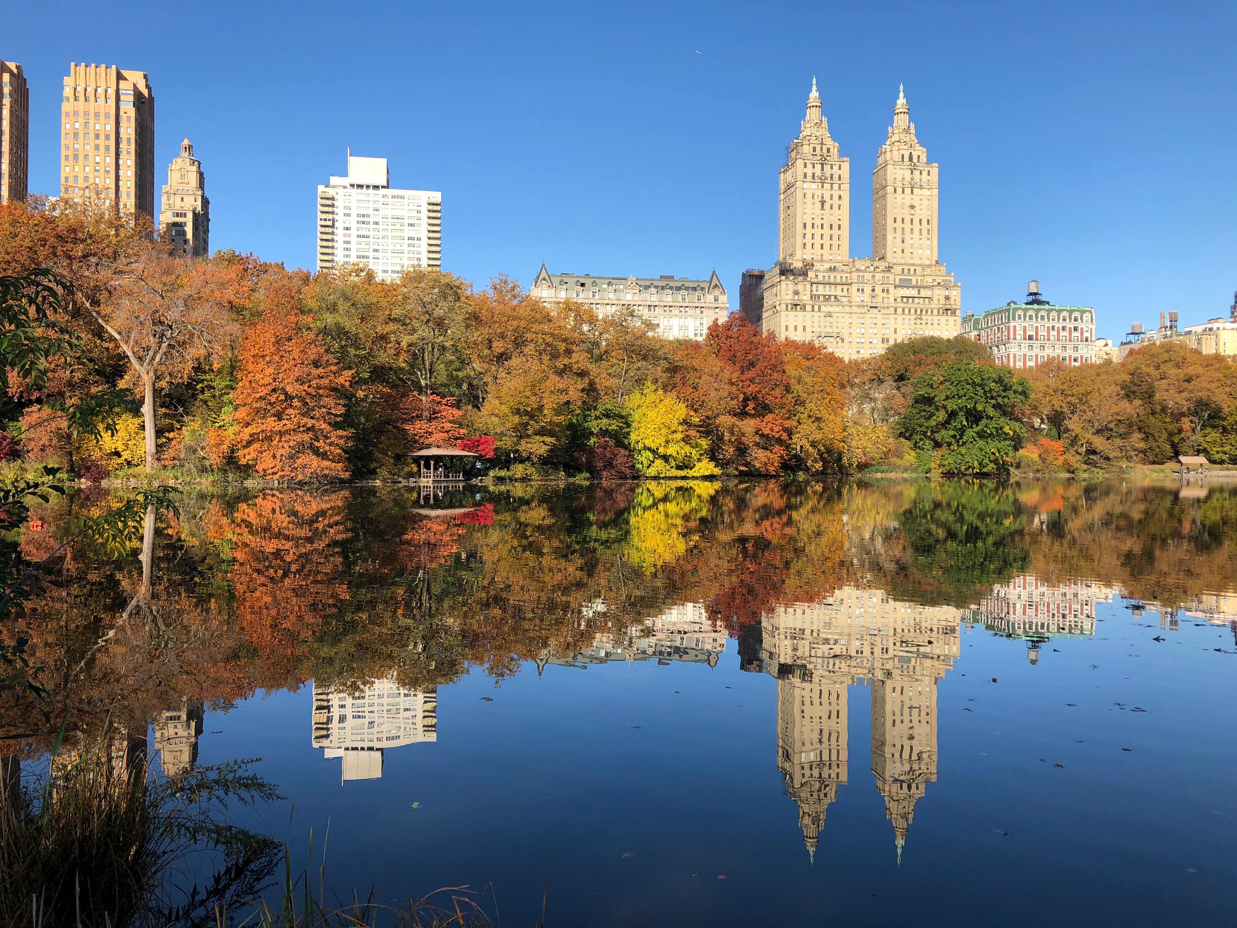 City buildings and autumn trees reflecting on a lake in NYC