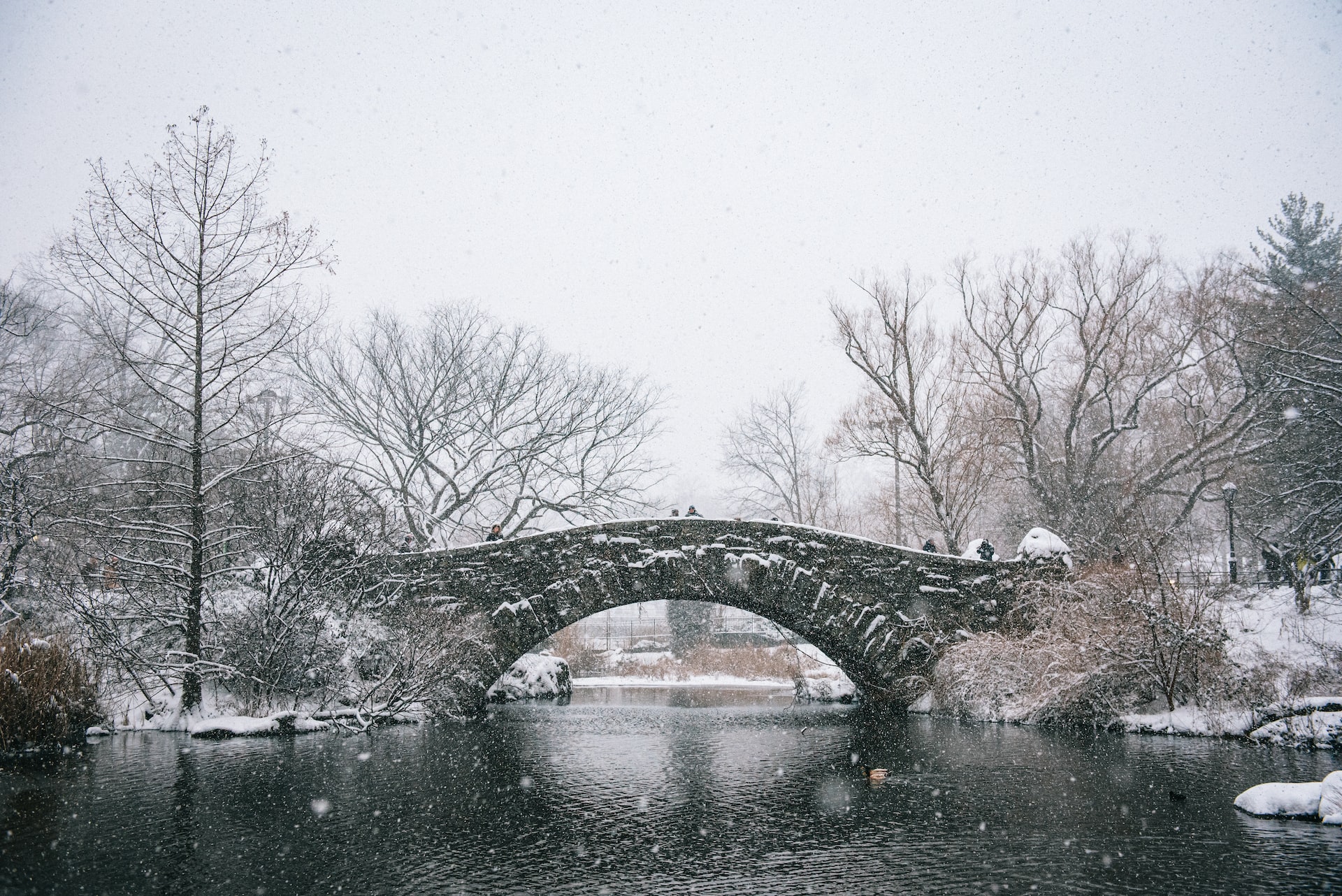 central park winter
