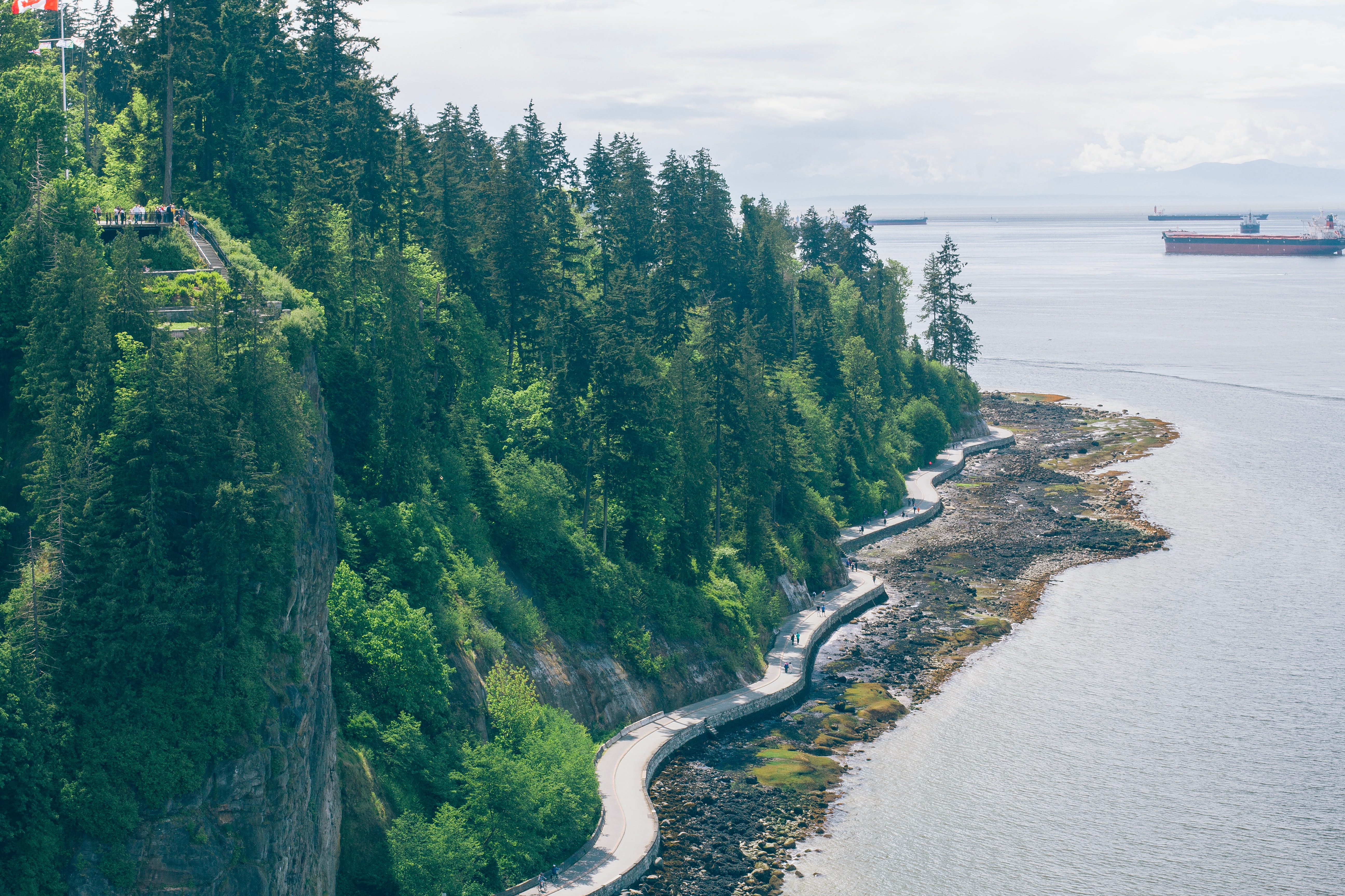 Rocky island with trees on the oceanside