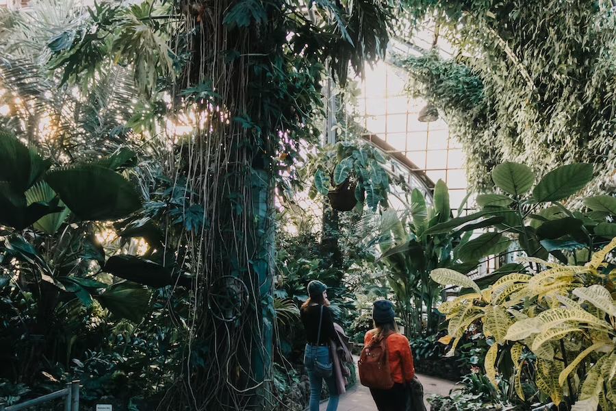 lincoln park conservatory