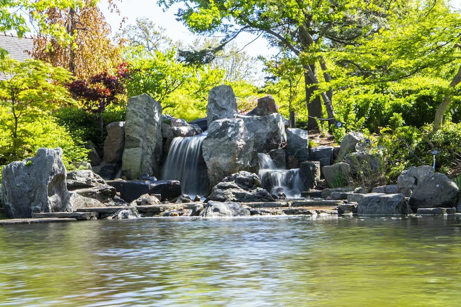 japanese garden in jackson park