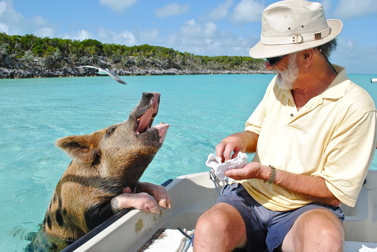 exuma cays exotic islands