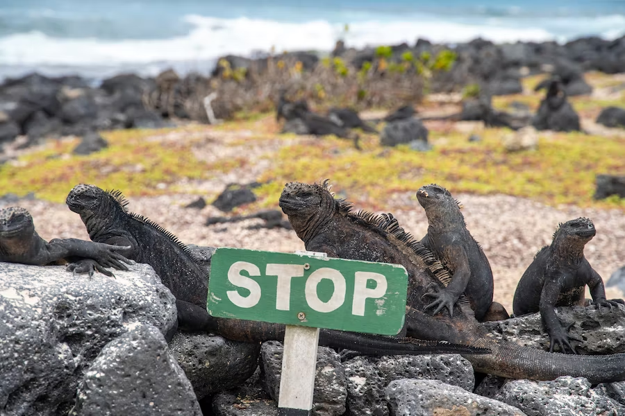 galapagos island