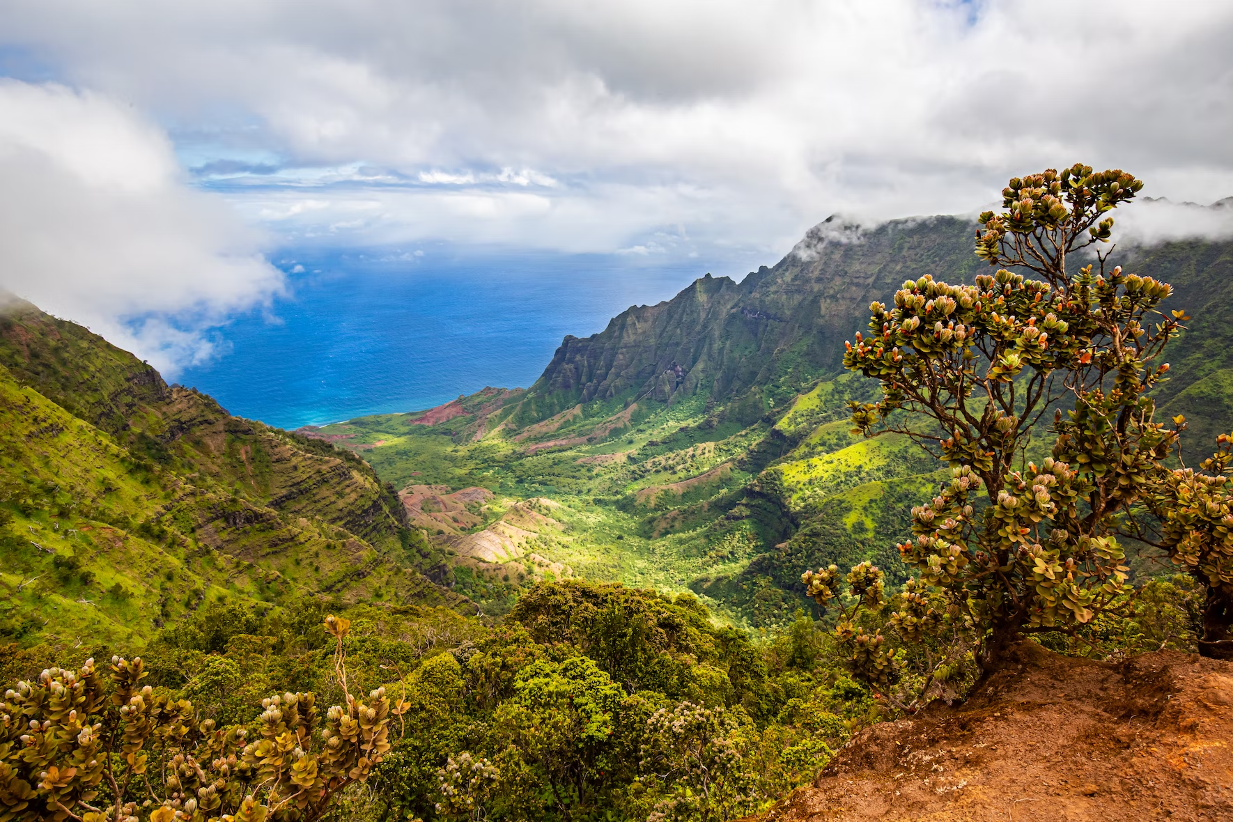 kaua'i island