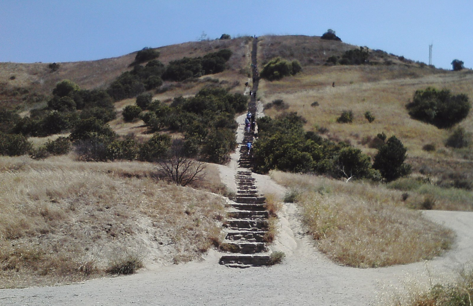 baldwin hills scenic overlook