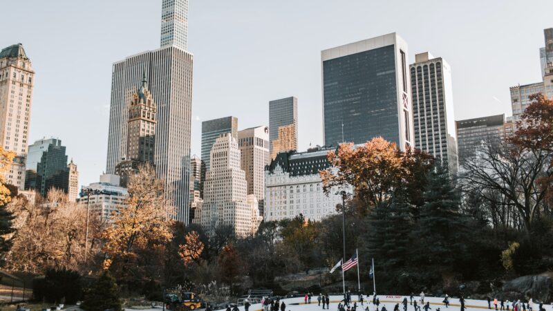 15 Fantastic Things to Do in New York in Winter