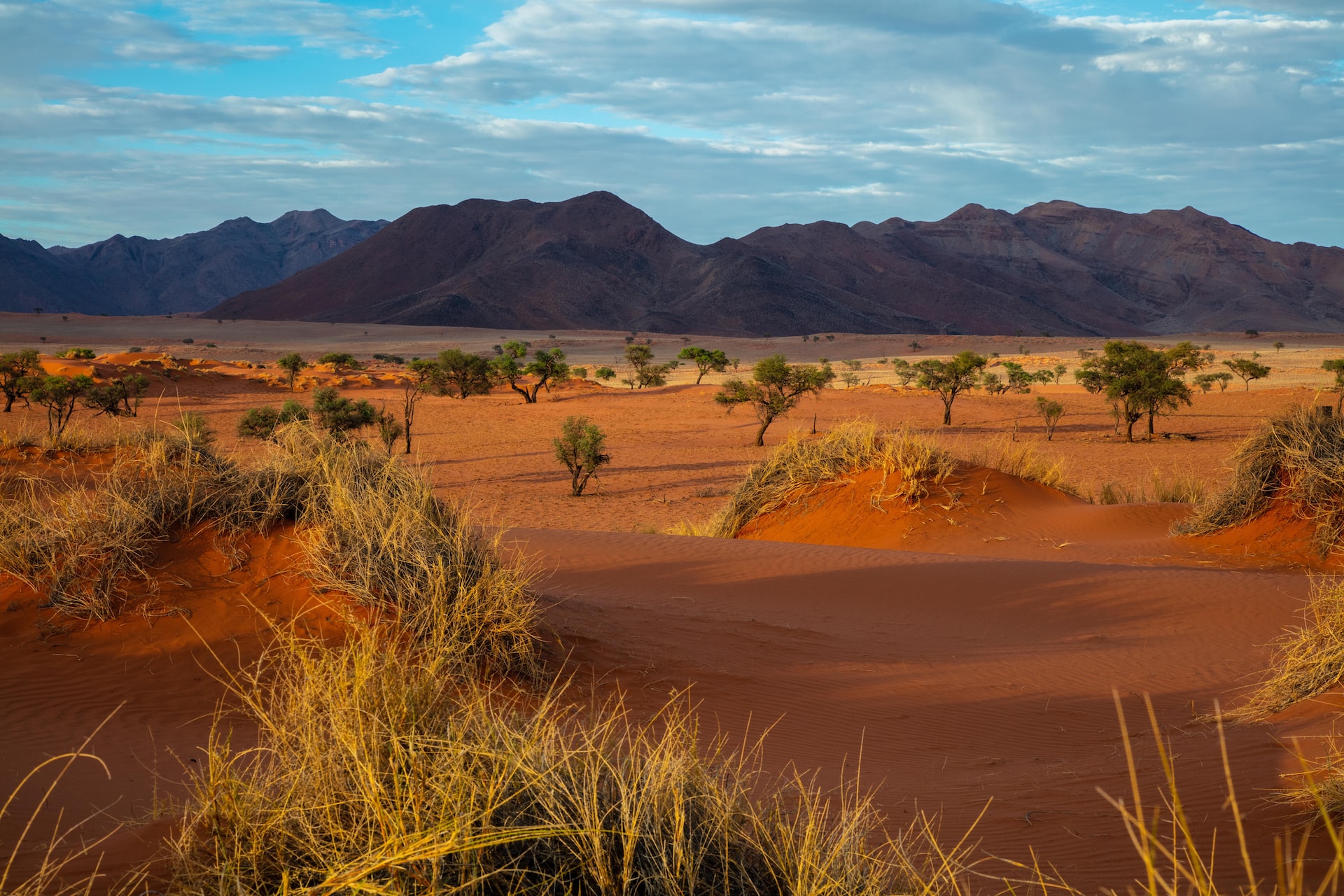 namibia desert Africa bucket list
