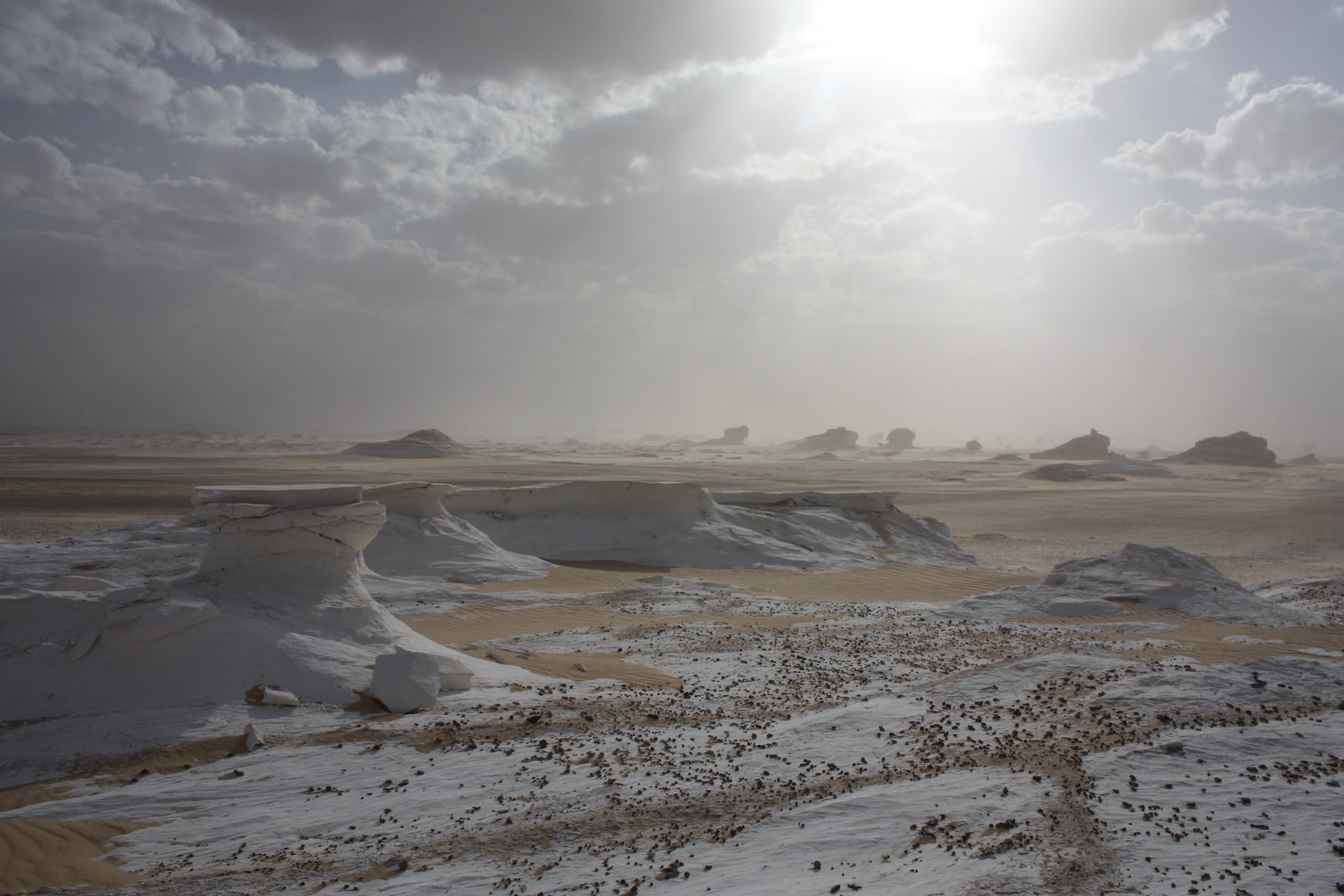 explore white desert
