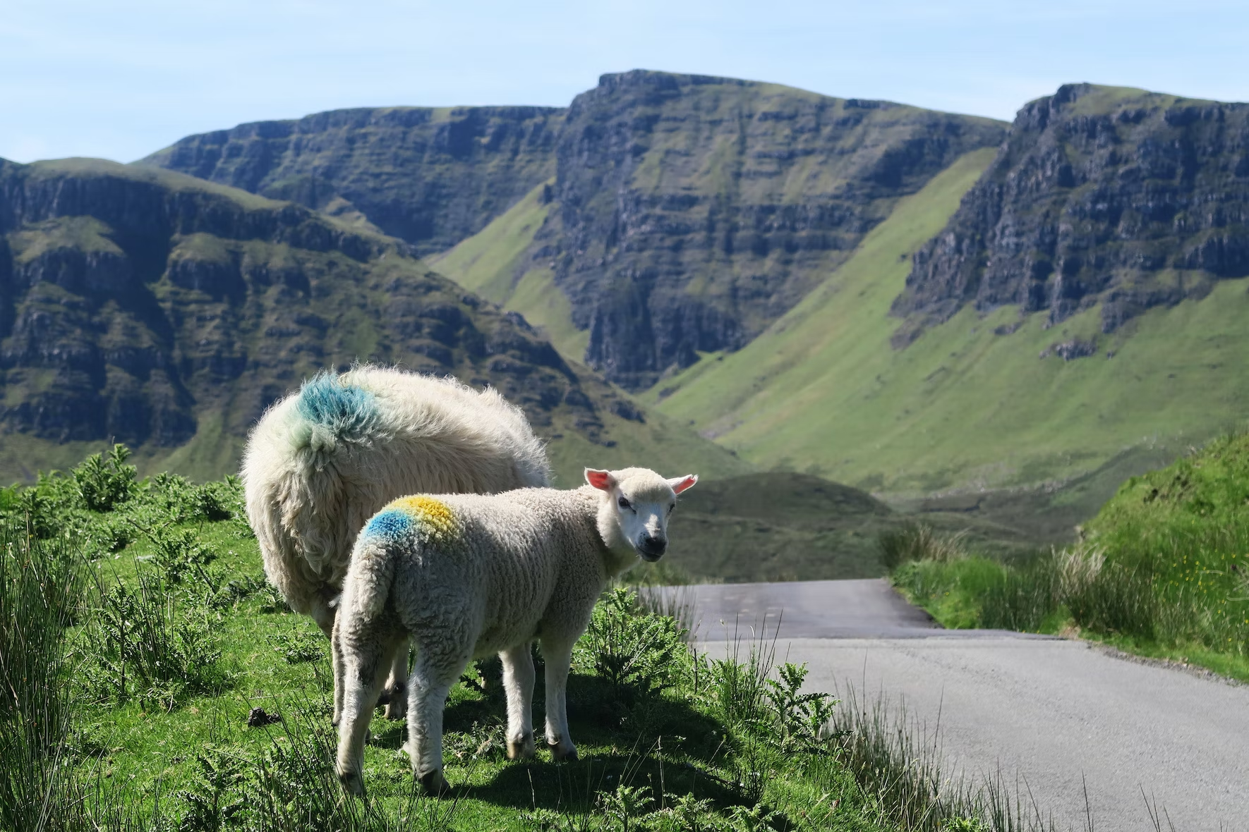 the cuillins