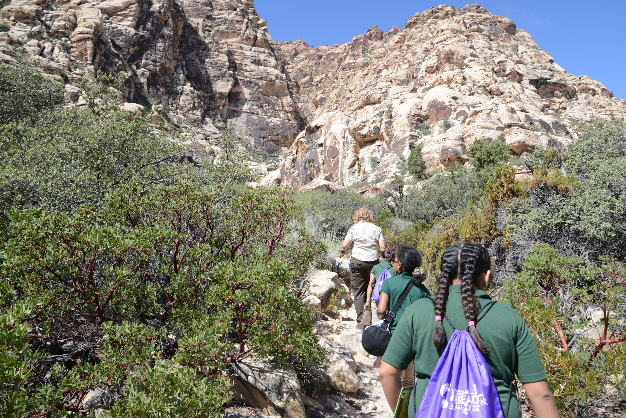 lost creek falls hidden gems in las vegas