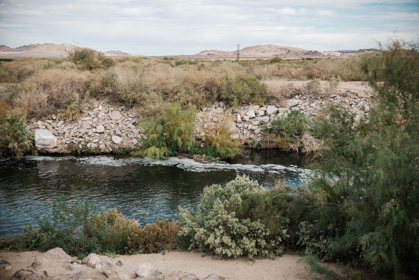 clark county wetlands park hidden gems in las vegas