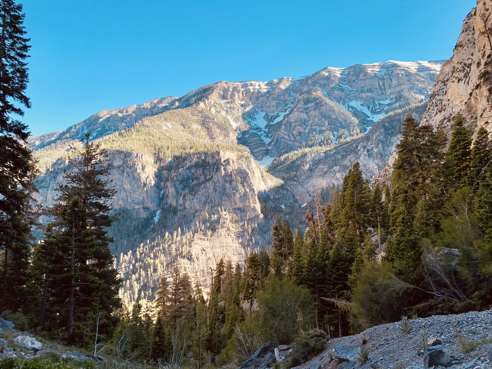 mary jane falls