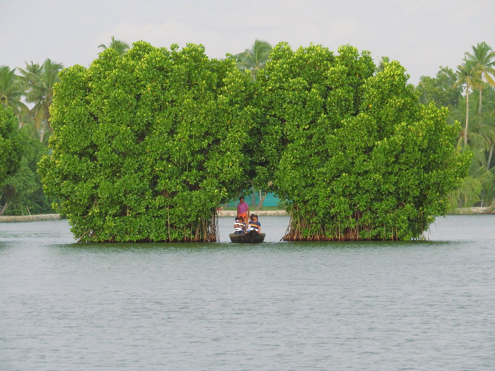 munroe islands in india