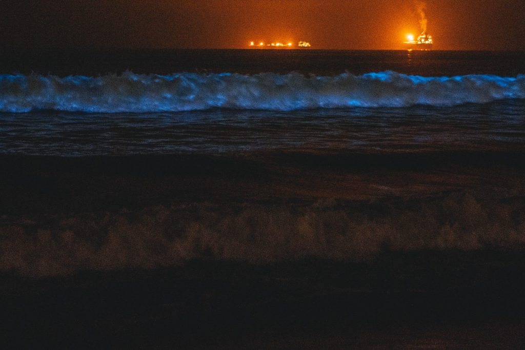 Beach in Puerto Rico showing bioluminescence