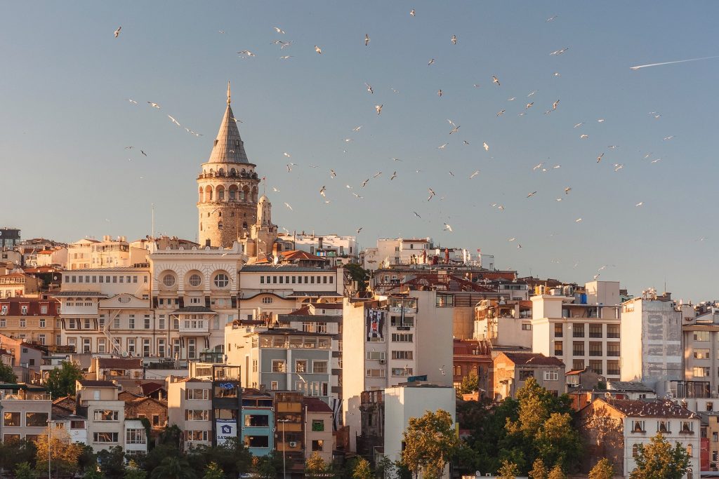 one of the best cities to live in Europe is Istanbul, Turkey with seagulls flying in the blue sky.