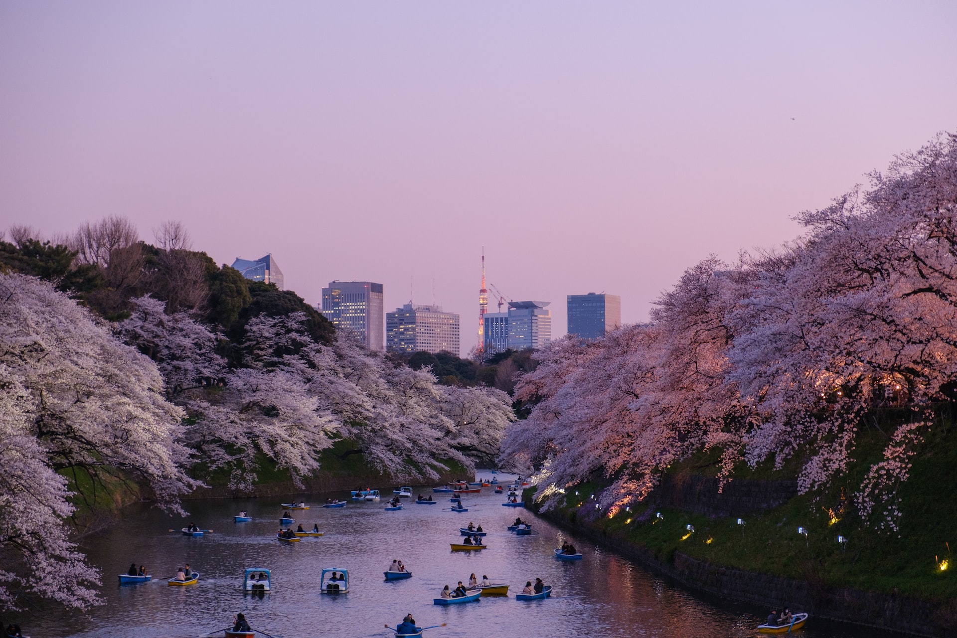 best places to travel in april tokyo