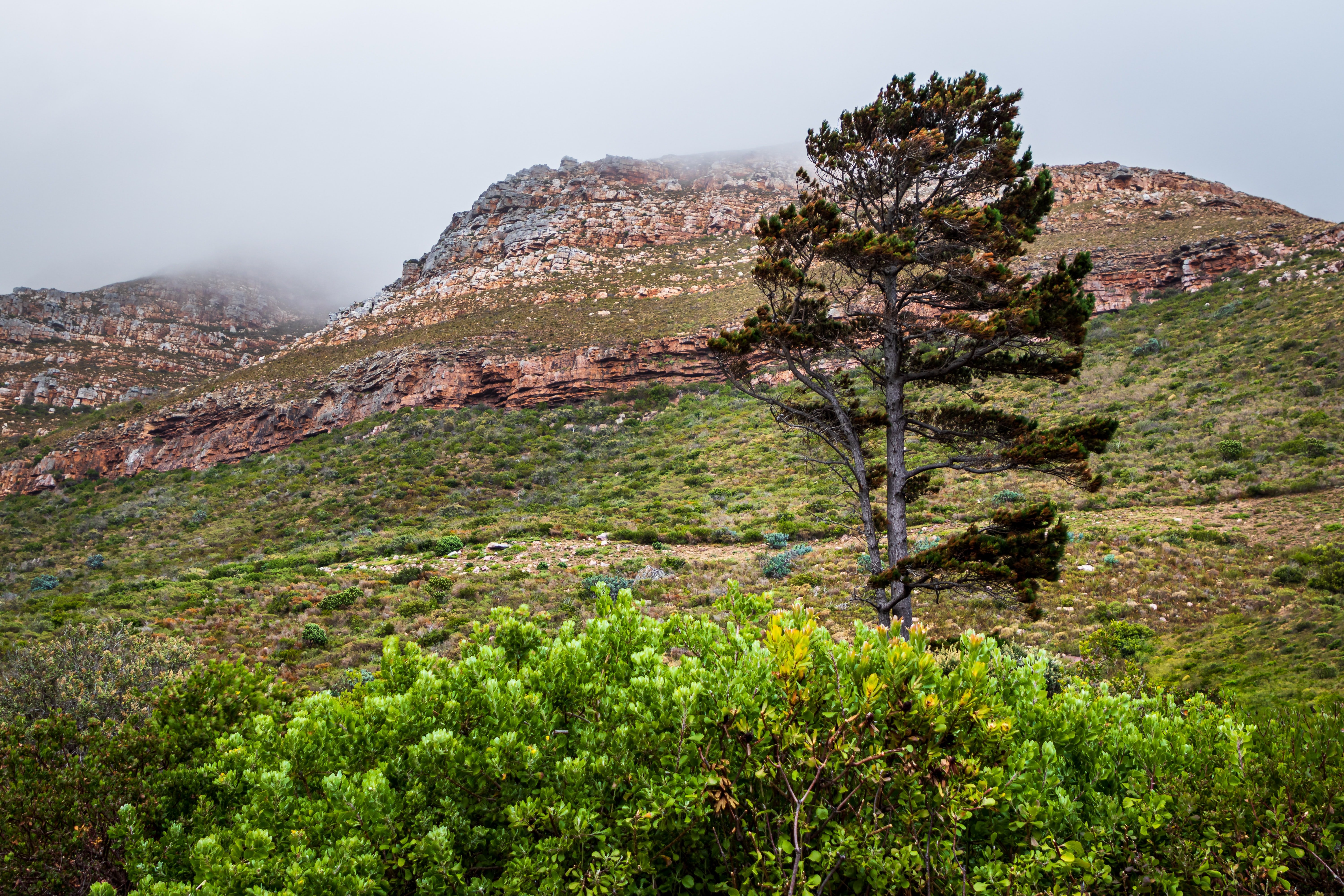 Die Rocklands in Südafrika sind eine wahre Herausforderung für Kletterer. 