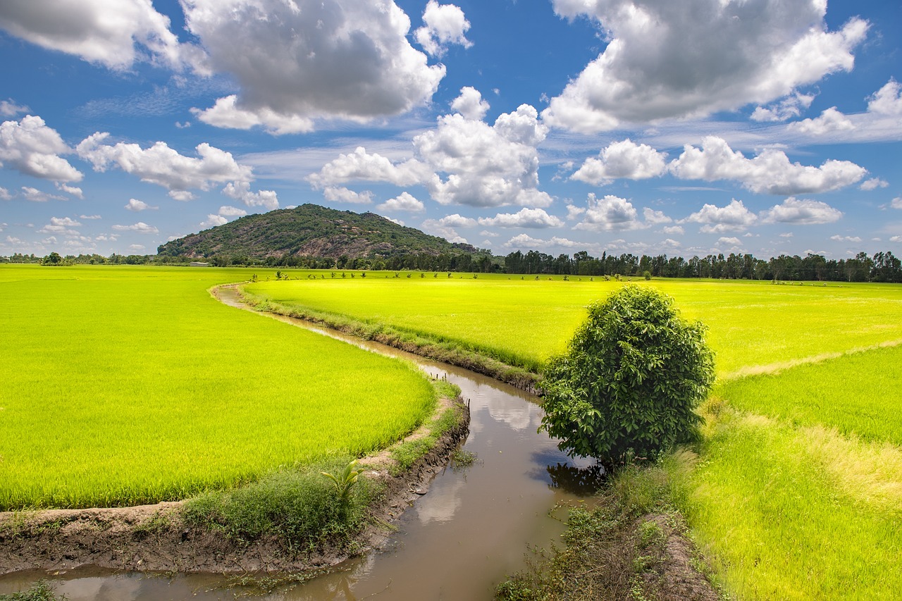 hidden gems in vietnam chau doc