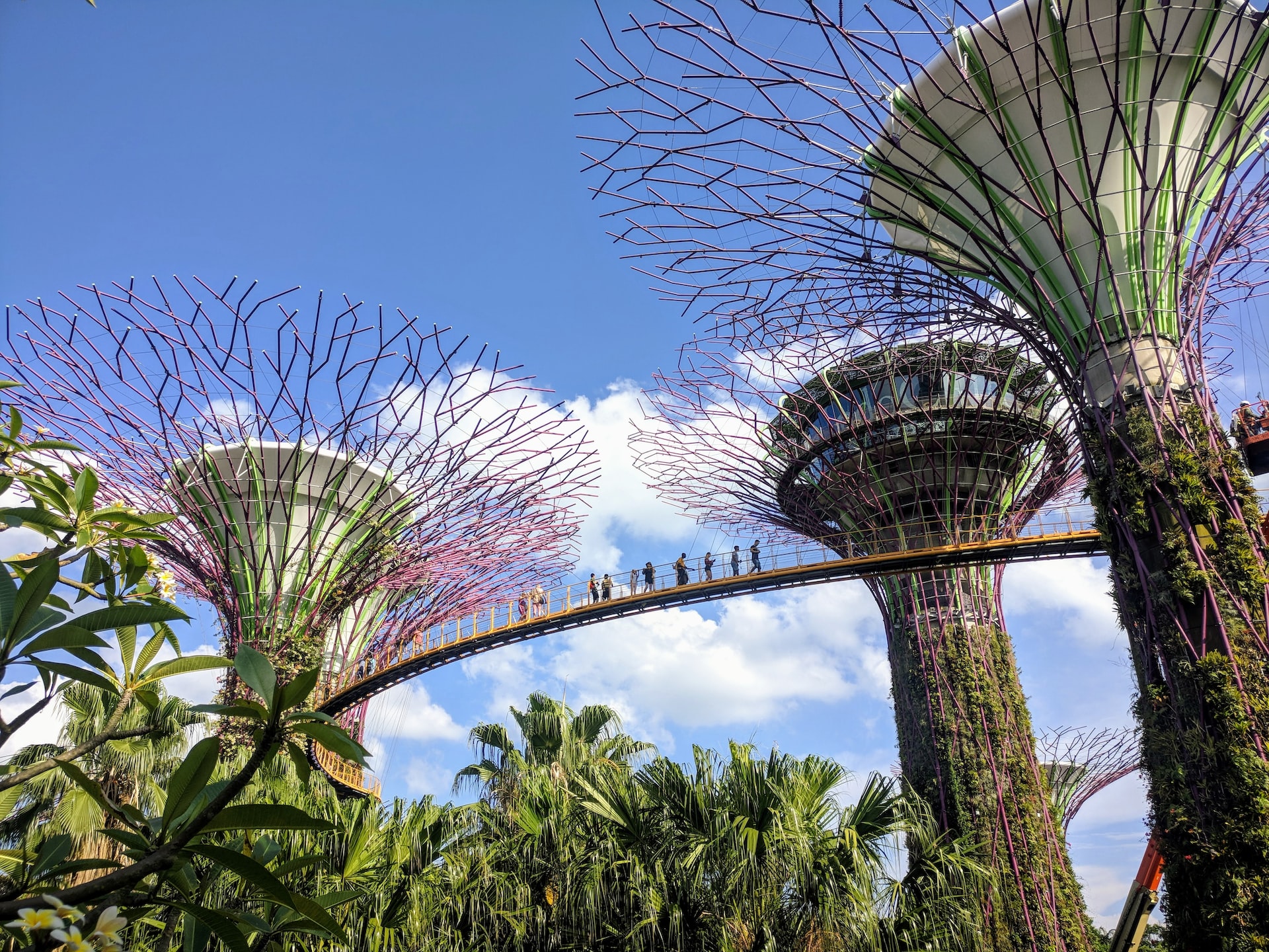 Gardens by the Bay Singapore
