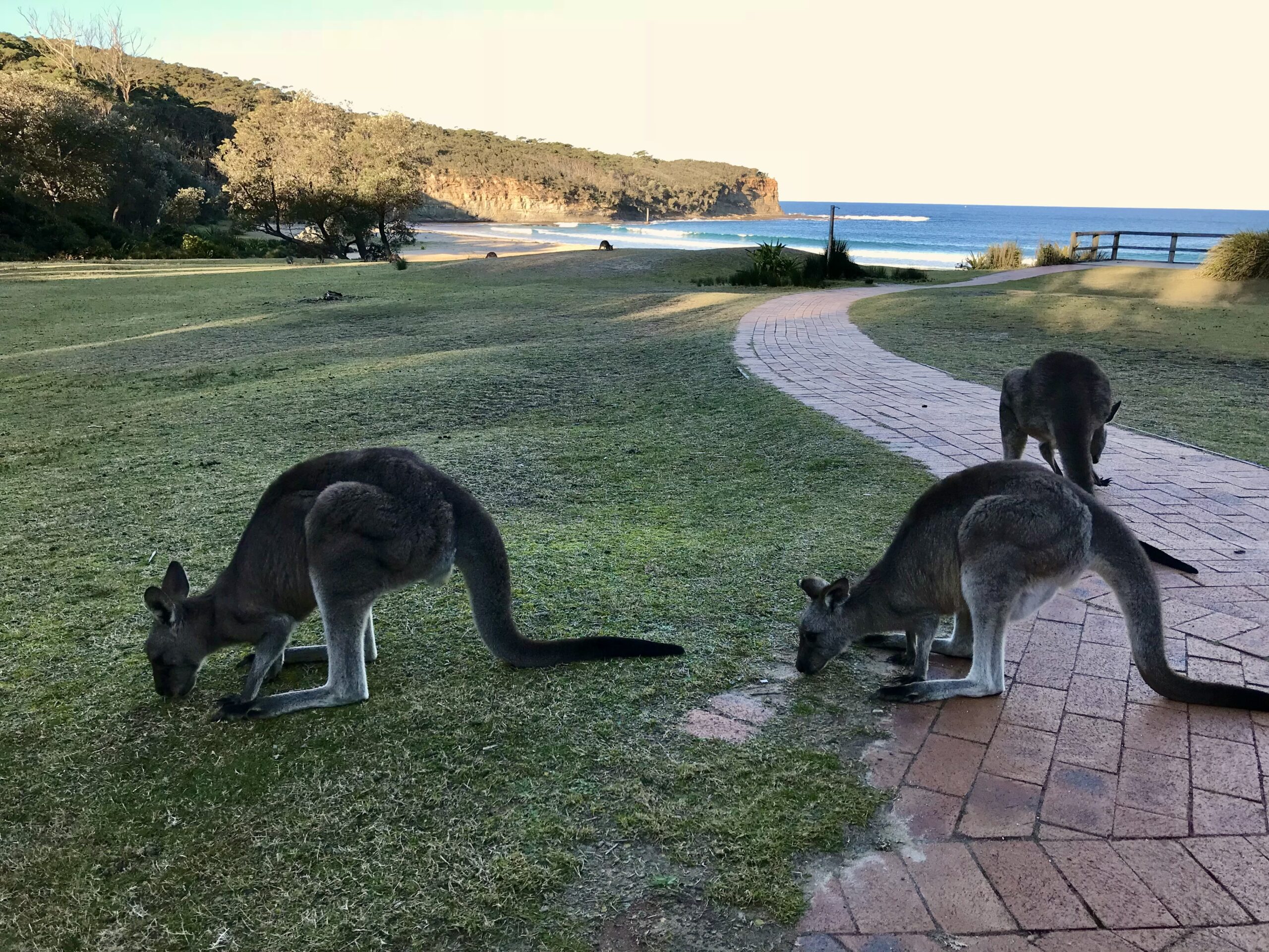 hidden gems in Australia Pebbly Beach