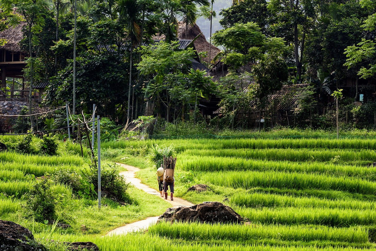 pu luong nature reserve hidden gems in vietnam