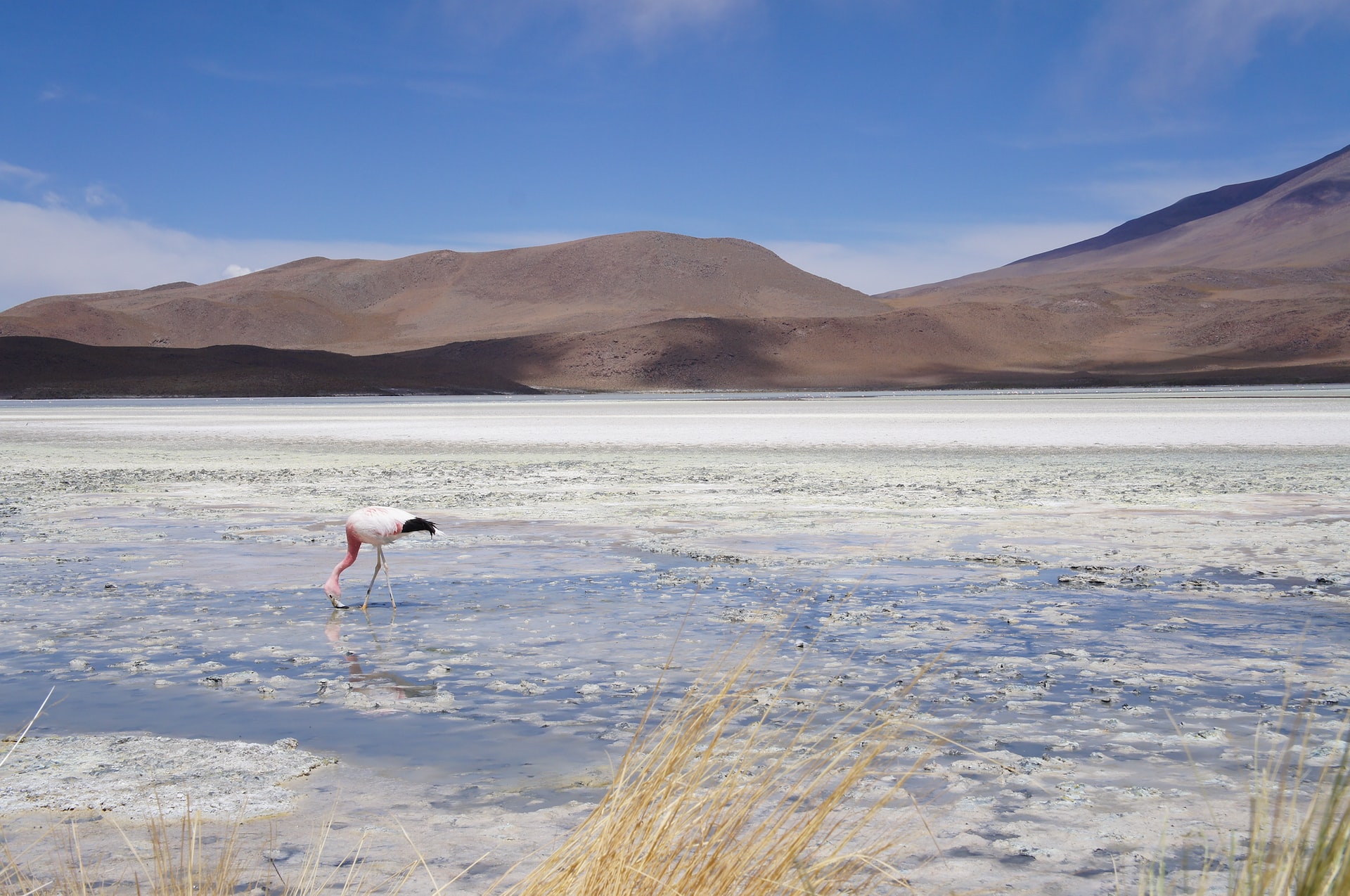 One of the best places to visit in South America is Salar de Uyuni
