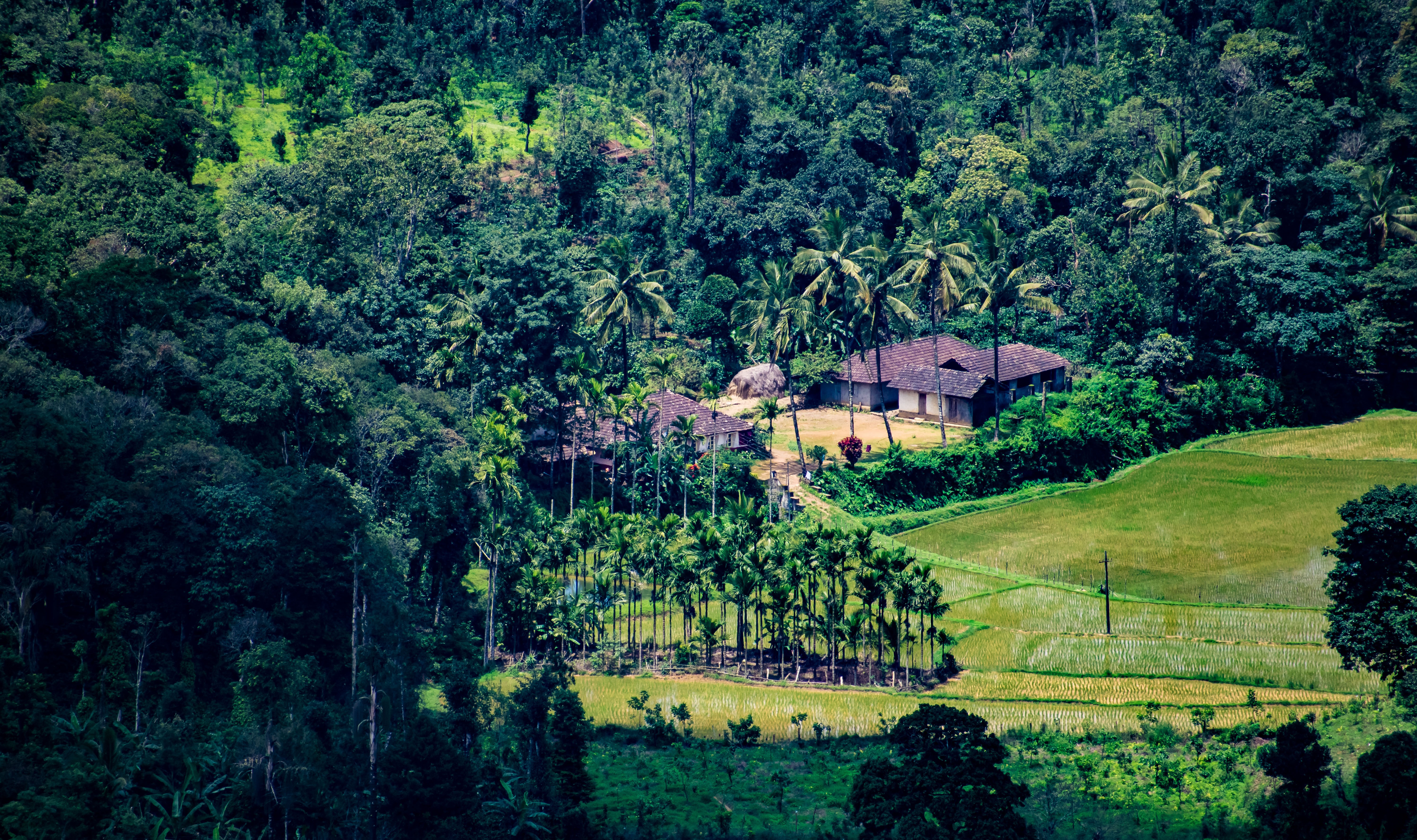 South India Travel Guide coorg