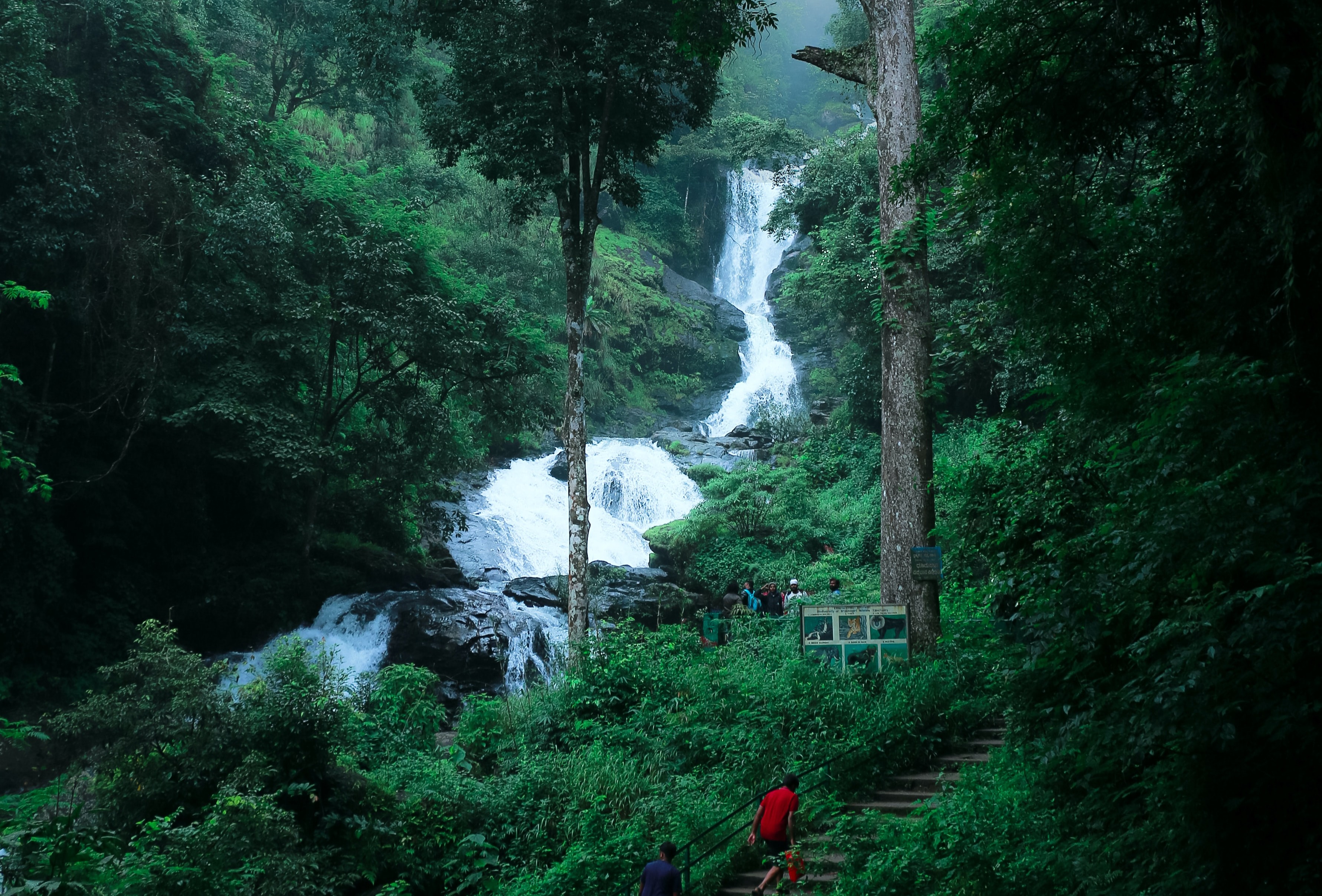 South India Travel Guide iruppu falls